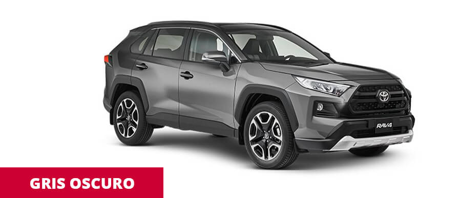 RAV4 Gris Oscuro