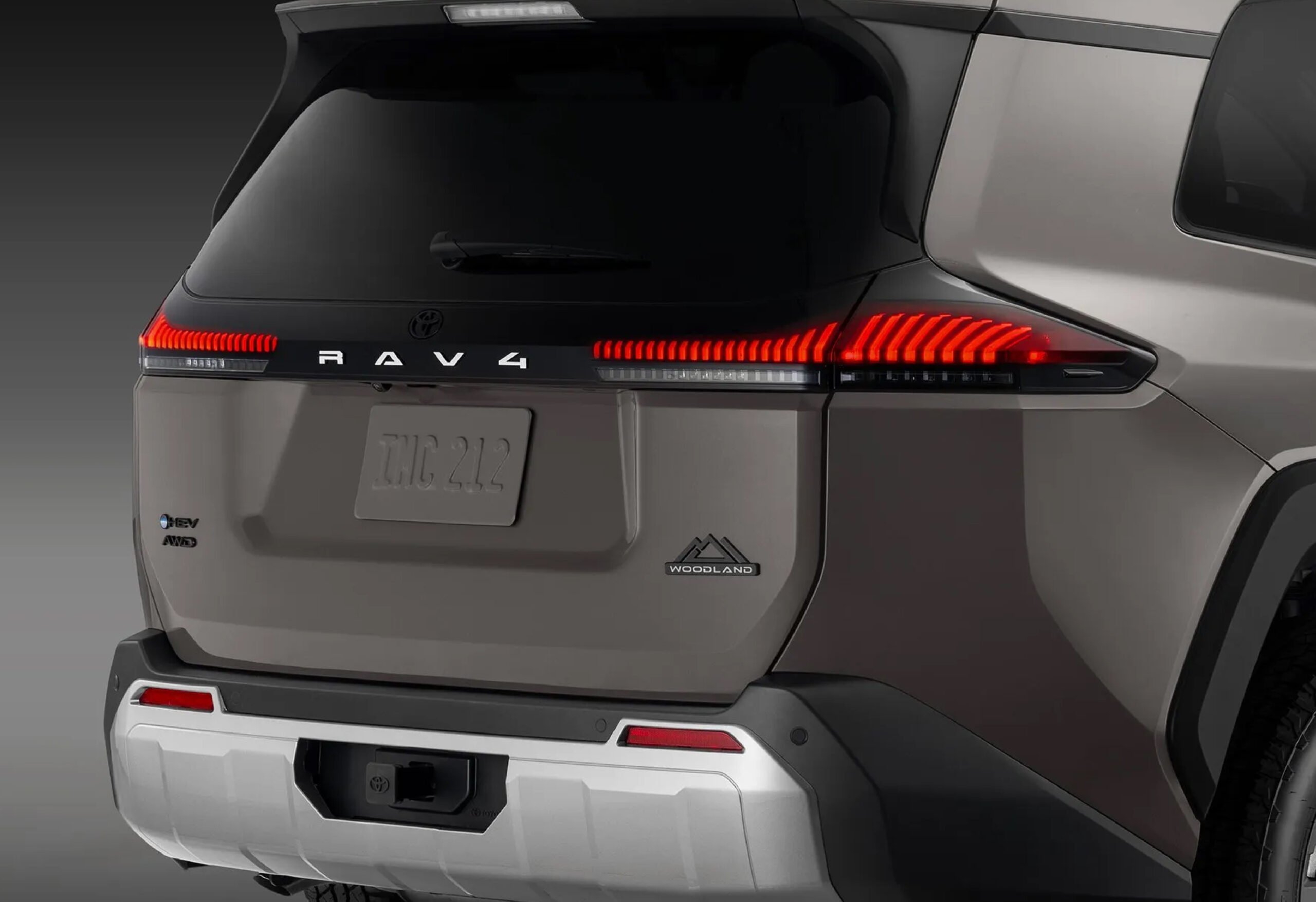 TRASERO TOYOTA RAV4